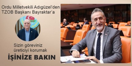 Adıgüzel’den TZOB Başkanı Bayraktar’a Sert Tepki: "İşinize Bakın"